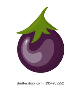 Fresh Eggplant Vegetable isolated on white background. Eggplant Icon for Market, Recipe Design.  Cartoon Flat Style. Vector illustration for Your Design, Web.