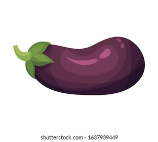 Fresh Eggplant Vegetable Isolated on White Background Vector Illustration