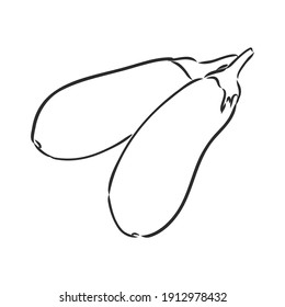 Ilustración vectorial completa en corte de berenjena fresca. ilustración de eggplant