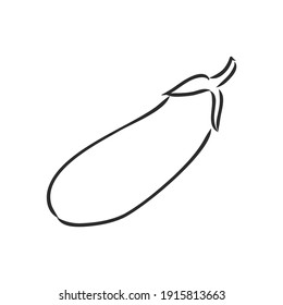 Fresh eggplant whole sliced vector illustration. eggplant, vector sketch illustration