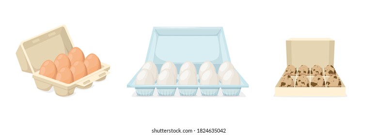 Fresh eggs. Chicken and quail eggs in cardboard box. Cooking ingredient. Healthy organic food farm product cartoon vector