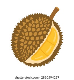 Fresh Exotic Durian Fruit Vector Illustration with Thorns and Yellow Creamy Flesh Isolated on White