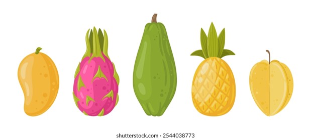 Frutos exóticos frescos. Manga, abacaxi, mamão e fruta dragão, vitamina orgânica vegetariana alimento vetor ilustração set. Desenhos animados de frutas tropicais