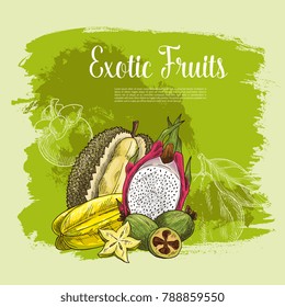 Fresh exotic fruits poster for fruit shop. Vector harvest of tropical durian, carambola star fruit or feijoa and juicy dragon fruit pithaya, mangosteen or rambutan and citrus grapefruit or pomelo