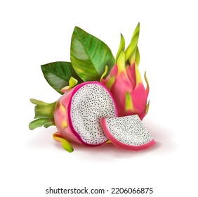 Fresh, exotic pitahaya fruit. Vector illustration.