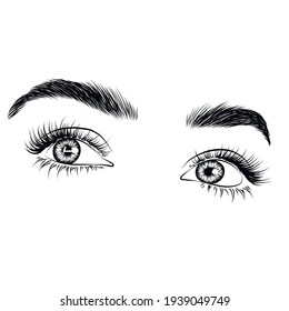 Fresh Eye Look Illustration. Hand Drawn Eyebrows And Lashes For Salon, Cards, Brochures. Natural Soft Eye Drawing