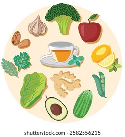 Fresh farm healthy food broccoli, cucumber, ginger, apple, green tea and ets. Vector icons in circle Vegan Farm fresh Organic Food. Can be  used like Banner, Flyer, Texture.