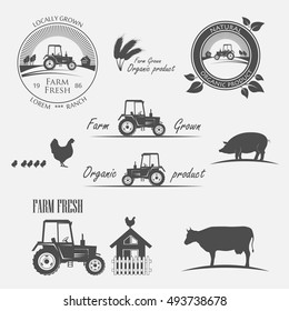 Fresh Farm Produce.