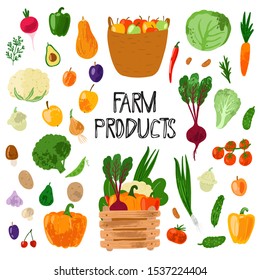 Fresh farm product. Set of hand drawn vector fruit and vegetables  isolated on white background. Flat cartoon illustration. Healthy vegan food. Farm products. Autumn harvest.