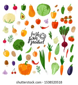 Fresh farm product. Set of hand drawn vector fruit and vegetables  isolated on white background. Flat cartoon illustration. Healthy vegan food. Farm products. Autumn harvest.