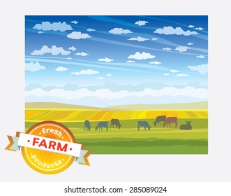 Fresh farm products. Herd of cows in green field. Vector rural nature landscape.