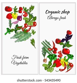 Fresh farm vector drawn vegetables on a white background. Vertical banners.
