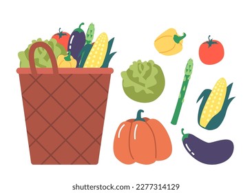 Fresh Farm Vegetable, Basket Full Of Autumnal Crop Corn, Eggplant, Cabbage, Asparagus And Eggplant. Bell Pepper, Pumpkin