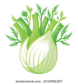 Fresco Fennel Arte, Vetor, Ícone e Gráfico, Design de Ilustração de Vegetais Planos em Fundo Branco