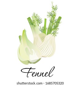 Fresh fennel icon vector illustration. Plant perennial herb with yellow flowers, feathery leaves. Isolated on white background