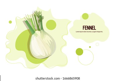 fresh fennel sticker tasty vegetable icon healthy food concept horizontal copy space vector illustration