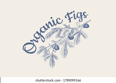 Fresh fig badge. Fruit Foliage label or logo. Detox spice. Foliage, plant and branch. Vector Engraved hand drawn sketch for stamp, t-shirt or typography or menu. 