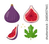 Fresh Fig fruit icons. Whole and half fig fruit, piece, seeds and leaf. Organic tropical fruit. Vector icon illustration isolated on white background.