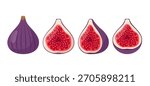Fresh Fig fruit icons. Whole and cut fig fruit. Halved figs different view. Organic tropical fruit. Vector icon illustration isolated on white background.