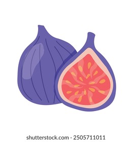 frische Feigenfrucht - Vektorgrafik