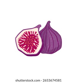 Higos frescos enteros y media Ilustración vectorial
