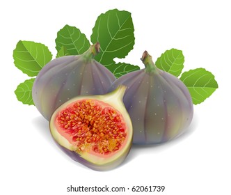 fresh figs on a white background vector