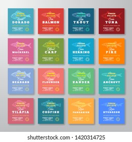 Fresh Fillets Premium Quality Labels Big Set. Abstract Vector Fish Packaging Design Layout. Retro Typography with Borders and Hand Drawn Fish Silhouette Background Collection. Isolated.