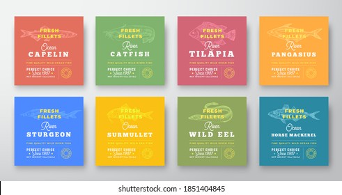 Colección de etiquetas de calidad premium de filetes frescos. Resumen De Diseño De Embalaje De Mariscos Vectores. Tipografía Retro con Siluetas de Pescado de Borde y Mano.
