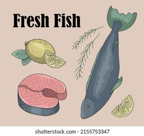 Fresh fish hand drawn set. Salmon with rosemarine and lemon.