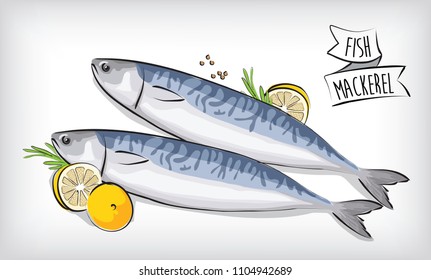 fresh fish mackerel salt vector design