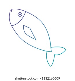 fresh fish meat icon
