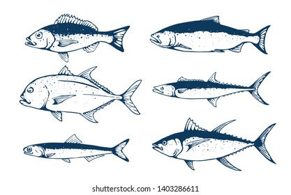 fresh fish menu set vector