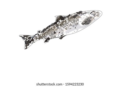fresh fish for restaurant mackerel herring trout red fish