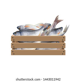 Fresh Fish In Wooden Crate. Vector Illustration