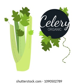 Fresh flat organic celery isolated on white background