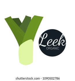 Fresh flat organic leek isolated on white background