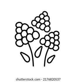 Fresh flowers bouquet. Summer bouquet isolated, woman flowers gift, spring bunch vector illustration