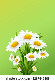Fresh flowers bouquets. 8 March. Mother's day.Women's Day greeting card with chamomile flowers on green background