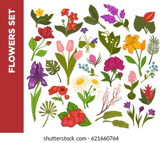 Fresh flowers colorful flat vector poster on white