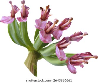 flores frescas em plena floração8