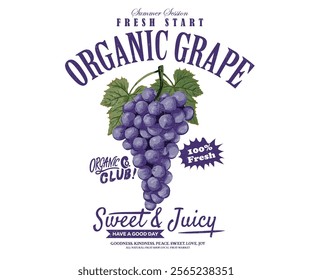 Fresh food artwork for for t shirt. Always organic. Summer food poster design. Grape fruit artwork. Fresh grapes fruit print. Nature watercolor design.