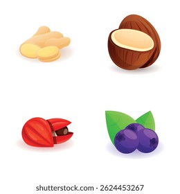 Ícones de comida fresca definir o vetor de desenhos animados. Coco, gengibre, mirtilo e frutos vermelhos. Nutrição saudável