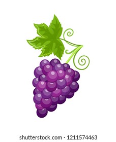 Fresh food ripe grapes of autumn season isolated vector. Healthy meal, fruits berries rich in vitamins, sweet product harvesting at autumnal period