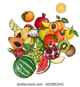 Fresh food. Watermelon, cantaloupe, pomegranate, apricot, persimmon line drawn on a white background. Vector illustration.