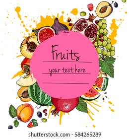Fresh food. Watermelon, cantaloupe, pomegranate, apricot, persimmon line drawn on a white background. Vector illustration.