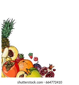 Fresh food. Watermelon, cantaloupe, pomegranate, apricot, persimmon line drawn on a white background. Vector illustration.