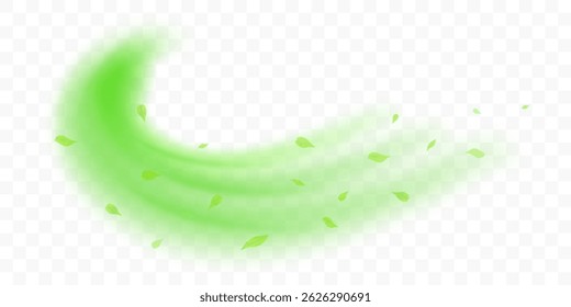 Fresh forest air swirl. Wind flow with flying green leaves. Realistic 3D vector illustration isolated on transparent background.