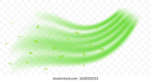 Fresh forest air swirl. Wind flow with flying green leaves. Realistic 3D vector illustration isolated on transparent background.