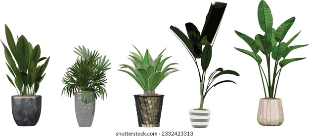 Fresh and Fragrant Herb Collection, Perfect for Culinary and Aromatherapy use for illustration