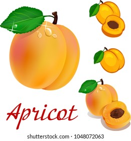 fresh fruit apricots